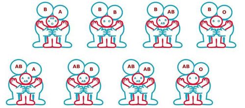 Parents and children's blood types are determined by genetic factors.