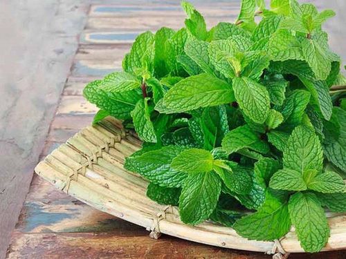 What are the effects of mint?