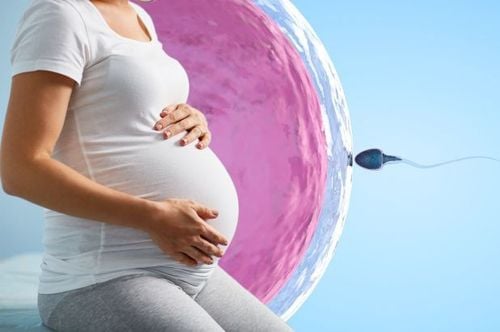 Làm sao để tránh stress trong quá trình mang thai IVF?