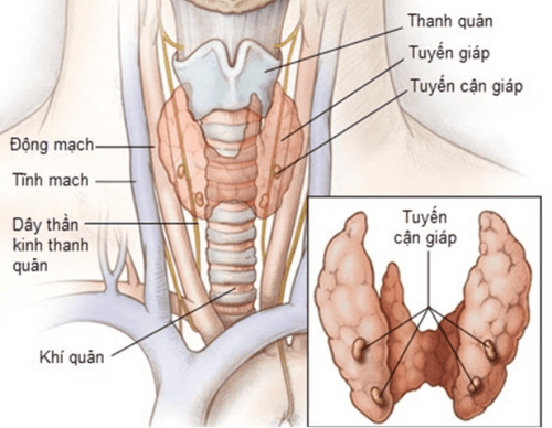 Causes, signs and methods of early diagnosis of thyroid cancer