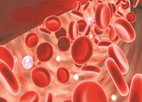 Things to know about anemia