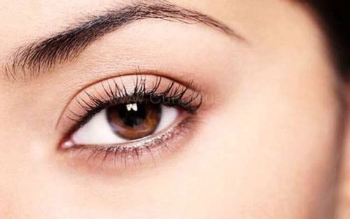 Should you choose eyebrow sculpting or eyebrow spray?