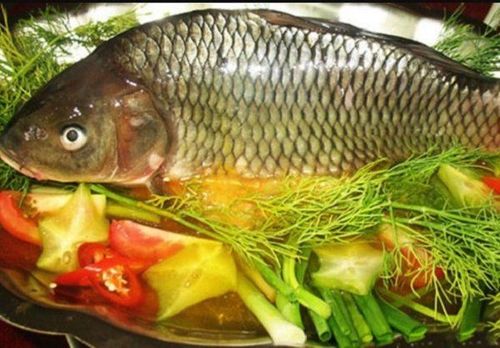 What are the benefits of eating carp?