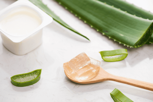 How to make yogurt aloe vera