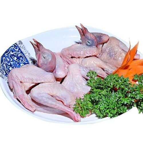 What are the benefits of pigeon meat?