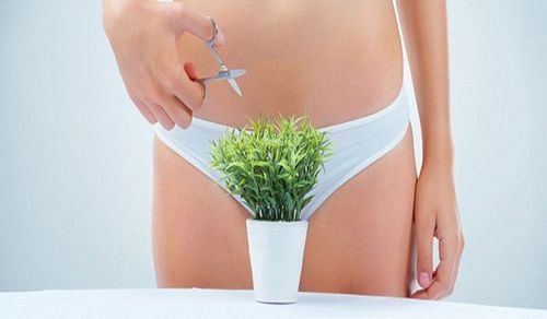 Does trimming pubic hair have any effect?