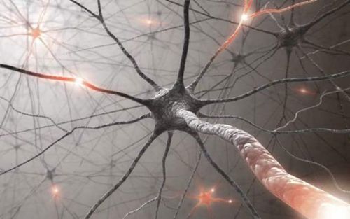 Mạng nơ-ron nhân tạo là một cách để khắc phục các vấn đề cho các bác sĩ tiêu hoá