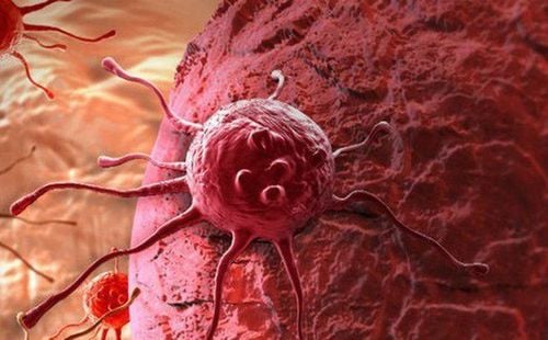 Biểu hiện RON không điều hòa được phát hiện ở nhiều loại ung thư