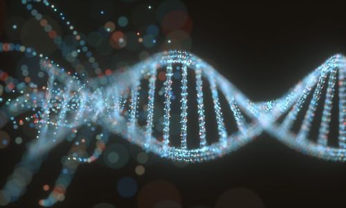 Các biến thể gen tham gia vào quá trình tiến hóa như thế nào?