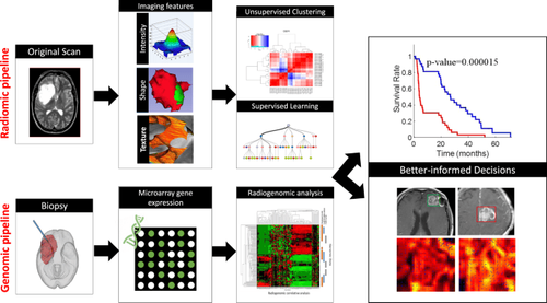 Risk stratification and prognostic prediction of GISTs by data visualization techniques