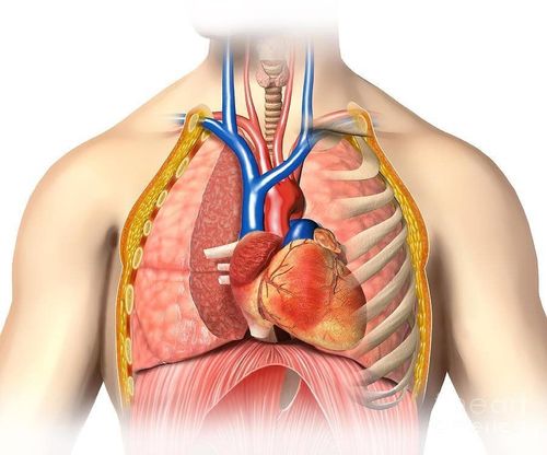 First aid and treatment of open chest wounds