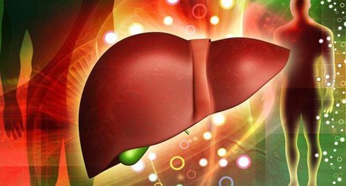 What's wrong with elevated liver enzymes without treatment?