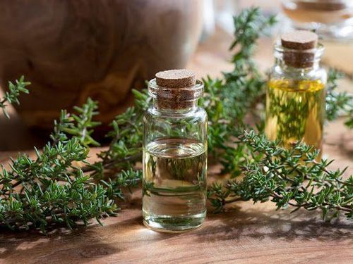 What are the uses of thyme essential oil?