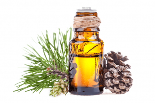 What are the uses of red pine essential oil?