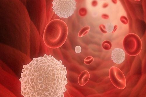 Mechanism of granulocyte/monocyte migration in the treatment of ulcerative colitis