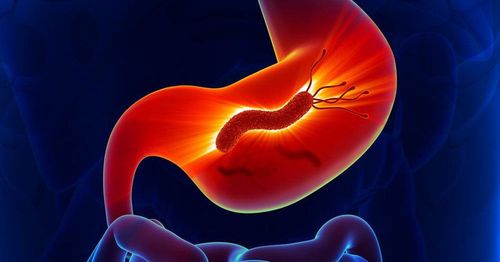 Đáp ứng miễn dịch đối với sự xâm nhập của H. pylori