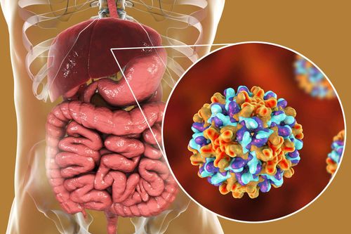 Nguy cơ tái hoạt động của virus viêm gan B ở những bệnh nhân mắc bệnh tự miễn đang điều trị sinh học