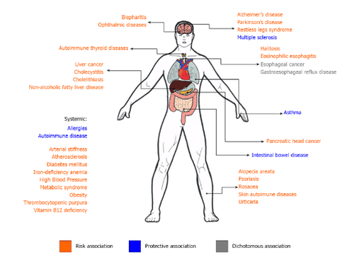 
Sơ đồ tóm tắt các biểu hiện ngoài dạ dày của nhiễm Helicobacter pylori
