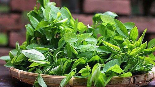 Can you treat constipation and bedwetting with water spinach?