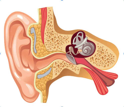 Footbone replacement surgery