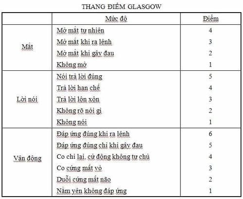 
Thang điểm Glasgow Coma Scale được sử dụng để đánh giá ban đầu và theo dõi bệnh nhân bị chấn thương đầu
