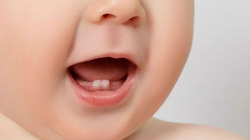 How long does a baby's teeth last?