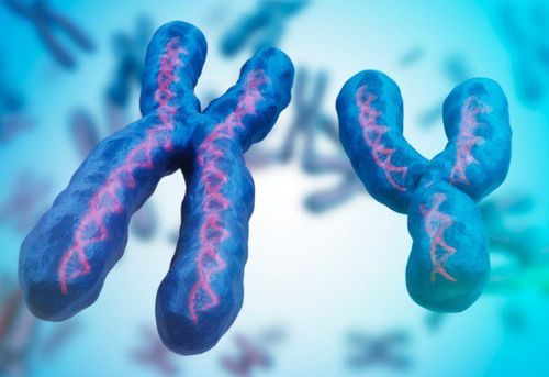 Do changes in the structure of chromosomes affect health and development?