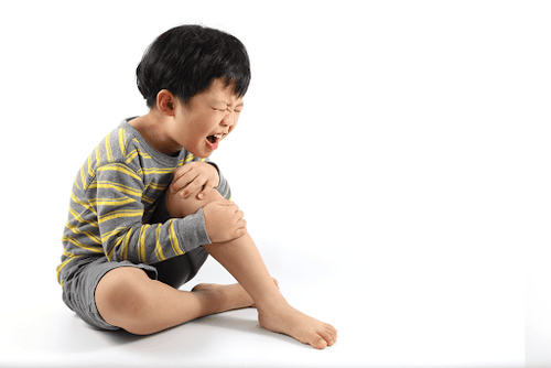 Sụn chêm hình đĩa gây đau khớp gối ở trẻ em