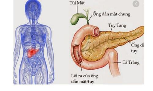 Những điều cần biết về suy tuyến tụy ngoại tiết