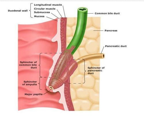 Balloon stenosis: Causes and diagnosis