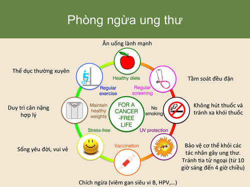 
Phòng ngừa ung thư là một hành động được thực hiện để giảm nguy cơ mắc bệnh ung thư.
