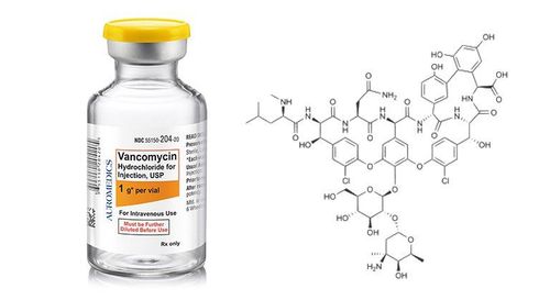 Overview of vancomycin antibiotics