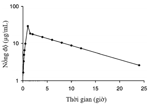 
Hình 2. Biểu đồ nồng độ - thời gian của vancomycin truyền tĩnh mạch
