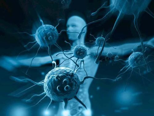 Người bệnh cần quan tâm đến đặc điểm miễn dịch của đái tháo đường