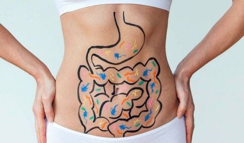 Why does a healthy digestive system help you love life more?