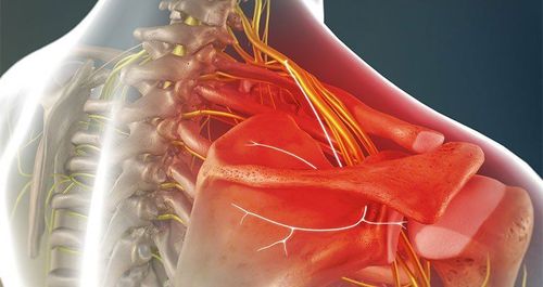 Pain management and nervous system