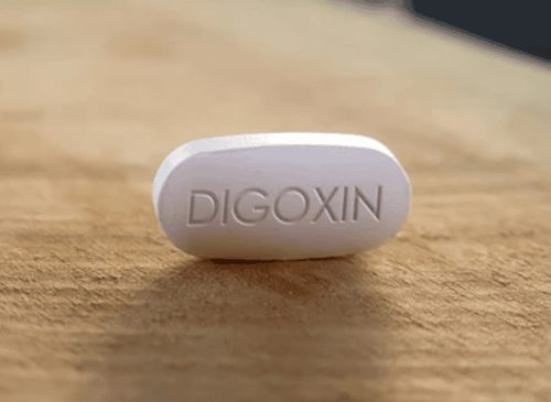 
Thuốc digoxin được sử dụng trong điều trị bệnh lý tim mạch
