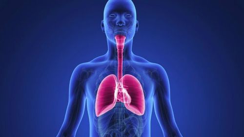 The duration of holding breath affects the carbon dioxide levels in human body.