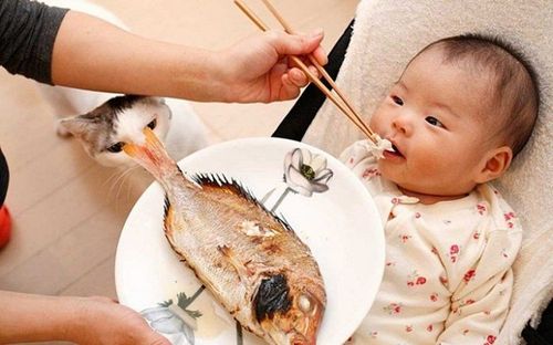 What fish is good for children to eat?