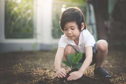 
Cho trẻ gần gũi với thiên nhiên sẽ giúp trẻ phát triển tốt hơn về mặt tinh thần và trí tuệ
