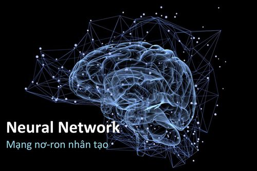 The role of artificial neural networks in disease risk prediction and patient survival prognosis