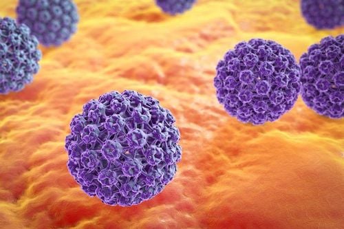 
HPV là nguyên nhân hàng đầu gây ung thư cổ tử cung hiện nay
