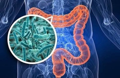 
Nhiễm Clostridium Difficile có thể gây ra bệnh đường ruột
