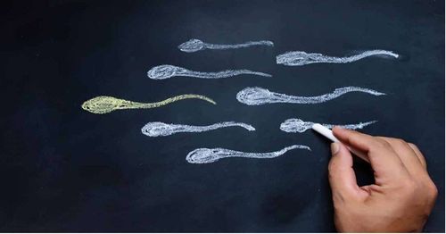 Sperm quality declines with age