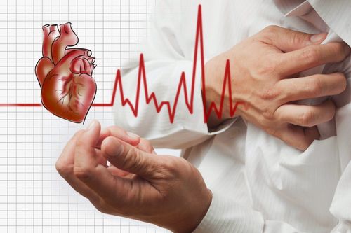 Family history factors in cardiovascular diseases