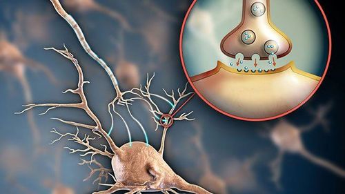 What is Serotonin Syndrome?