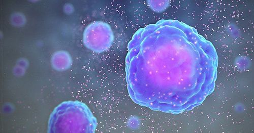 Mất ngủ nghiêm trọng làm giảm sản xuất cytokine ảnh hưởng tới hệ miễn dịch