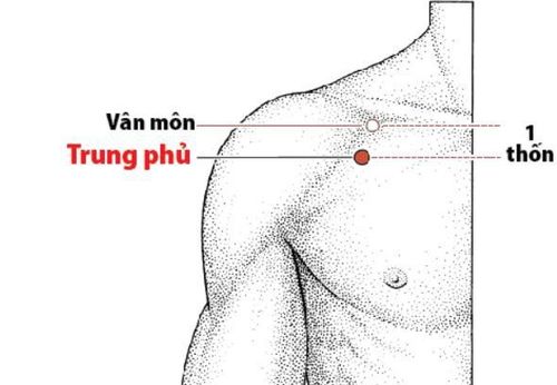 
Bấm huyệt chữa hen suyễn với huyệt trung phủ
