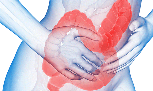 What does the X-ray result of small intestine have narrow narrow lesions, misalignment mean?