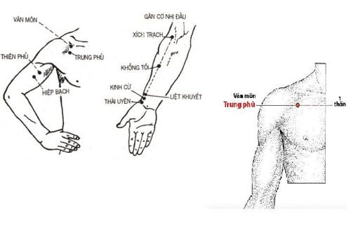 
Huyệt Trung Phủ là một trong các huyệt vùng ngực
